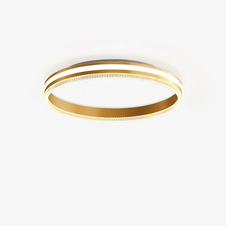 Simple Acrylic Ring Ceiling Light Yeswarmlighting